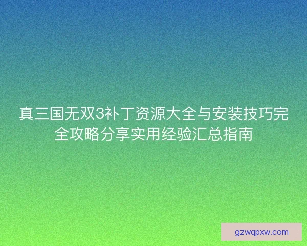 真三国无双3补丁资源大全与安装技巧完全攻略分享实用经验汇总指南