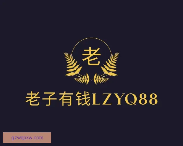 介绍老子有钱lzyq88